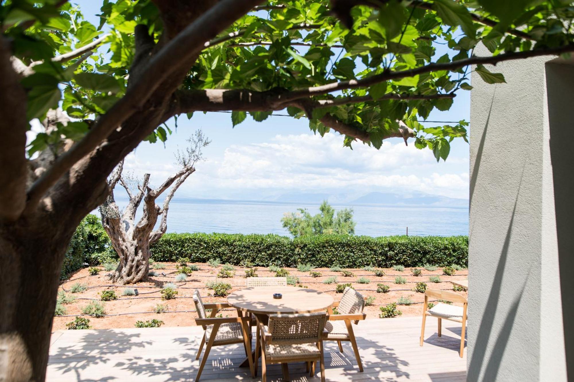 Alissachni Seaside Hotel Derveni Zewnętrze zdjęcie